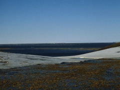 Sommer in der Kältesteppe